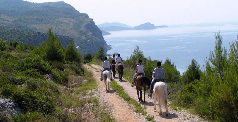 horseback-riding-croatia-omis