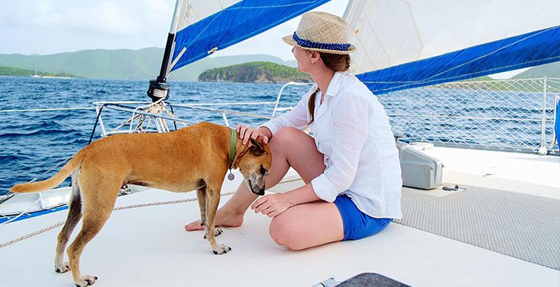 shade-on-board-sailing-with-dogs